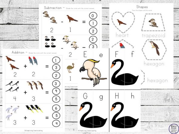 Australian Birds Printable Pack - Simple Living. Creative Learning