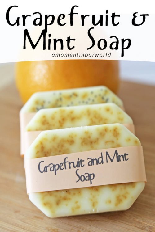 Grapefruit and Mint Soap Simple Living. Creative Learning