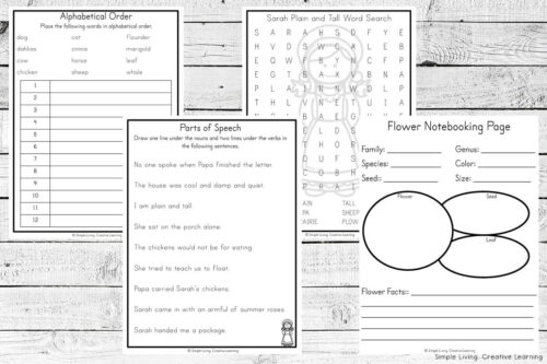 Sarah Plain and Tall Literature Study four extra activity pages
