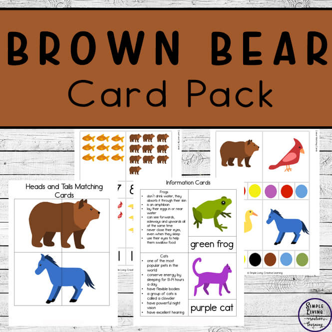 Brown Bear Card Pack