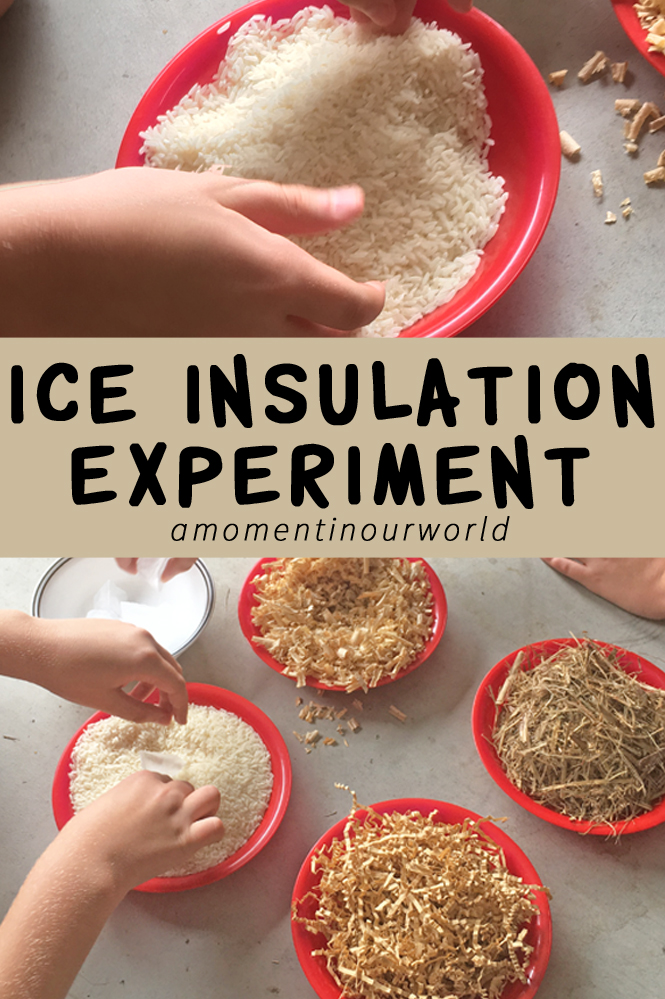 This is a fun ice insulation experiment and it goes well with the book Farmer Boy by Laura Ingalls.