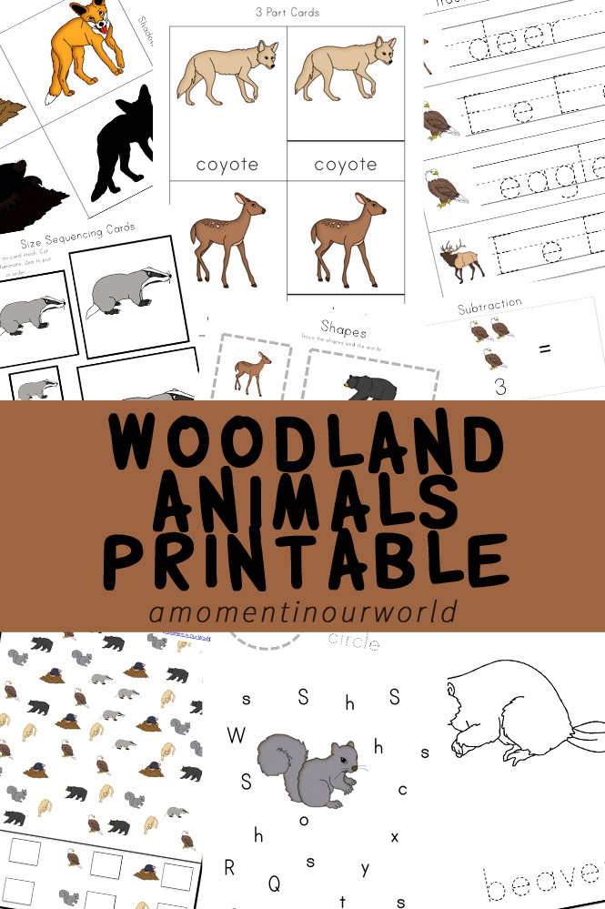 This woodland animals printable pack is full of fun, and educational activities and the most adorable woodland creatures.