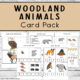 Woodland Animals Card Pack