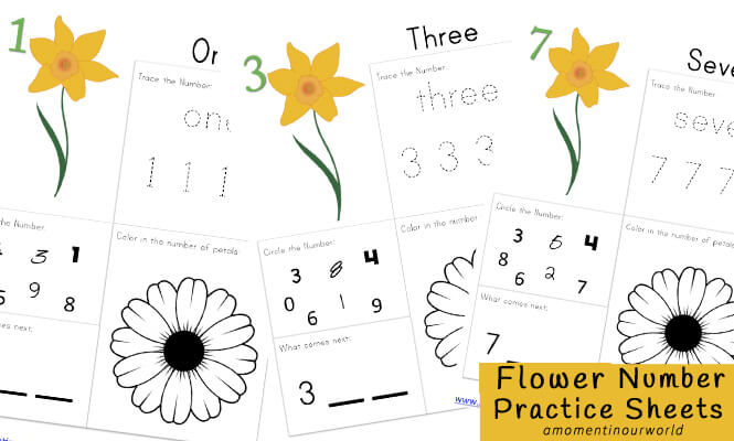 Learn to count and write numbers from 0 - 10 is made fun with these flower number practice sheets. They are also great for reviewing!