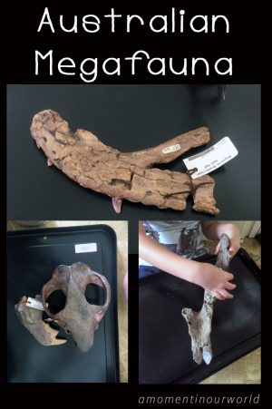 Australian Megafauna Study - Simple Living. Creative Learning