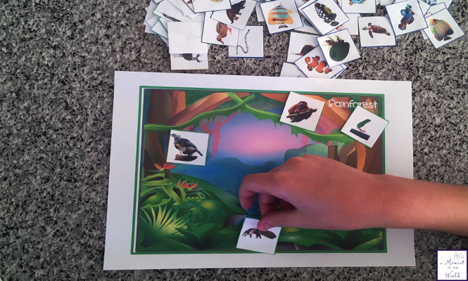 Learning about animals and their habitats is so much fun with these animal habitat mats and cards.