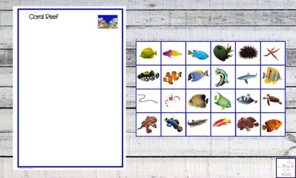 Animal Homes Box and Printable Animal Habitat Mats - Simple Living ...
