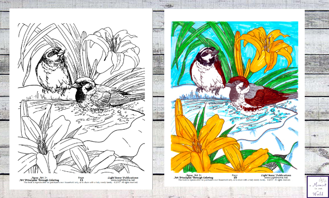 “Aqua Art 7+” Art Principles Through Coloring is a one-of-a-kind art curriculum that combines many different art concepts through coloring a variety of underwater scenes and water surfaces.