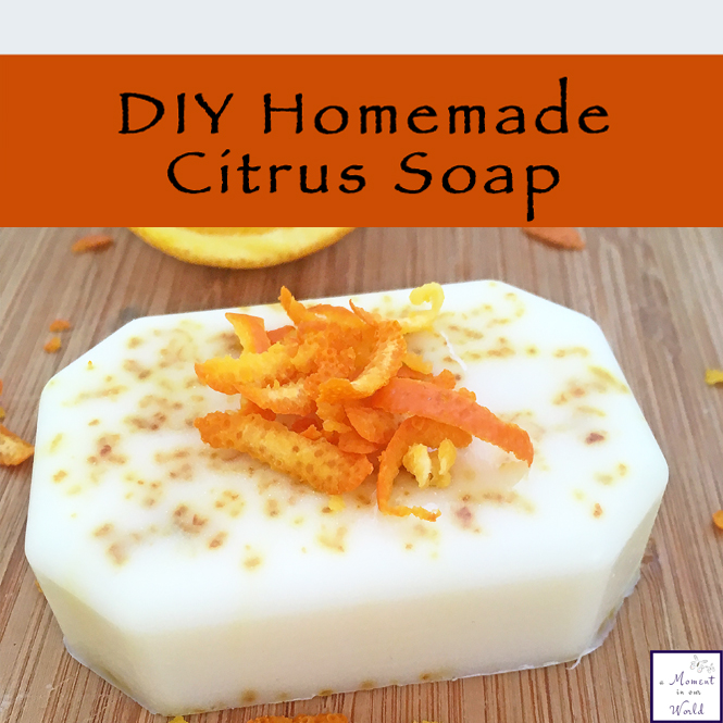 DIY Homemade Citrus Soap