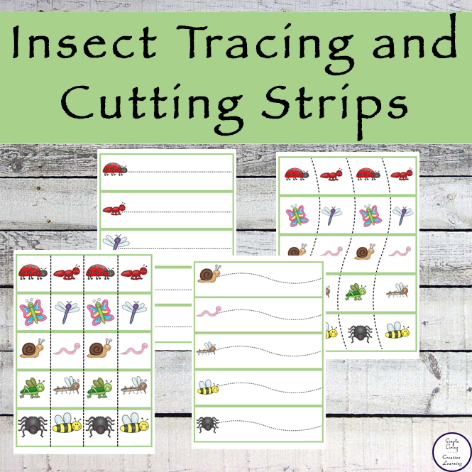 Insect Tracing And Cutting Strips Simple Living Creative Learning