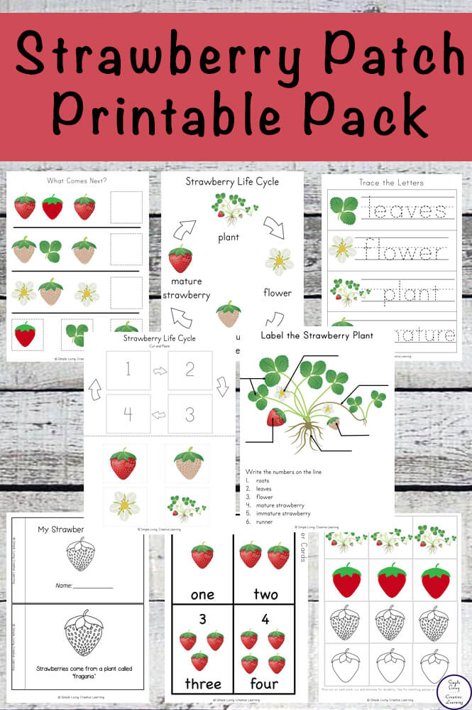 This Strawberry Patch Printable Pack is so much fun and filled with lots of math and literacy activities for kids in preschool and kindergarten.