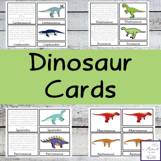 Learn about about 25 different species of dinosaurs with these fun Dinosaur Cards.