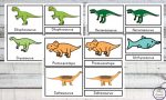 {FREE} Printable Dinosaur Cards - Simple Living. Creative Learning