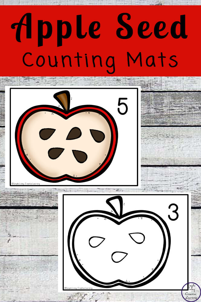 Focusing on the numbers 1 - 20, these Apple Seed Counting Mats are a fun, hands-on math activity that preschoolers and toddlers will love.