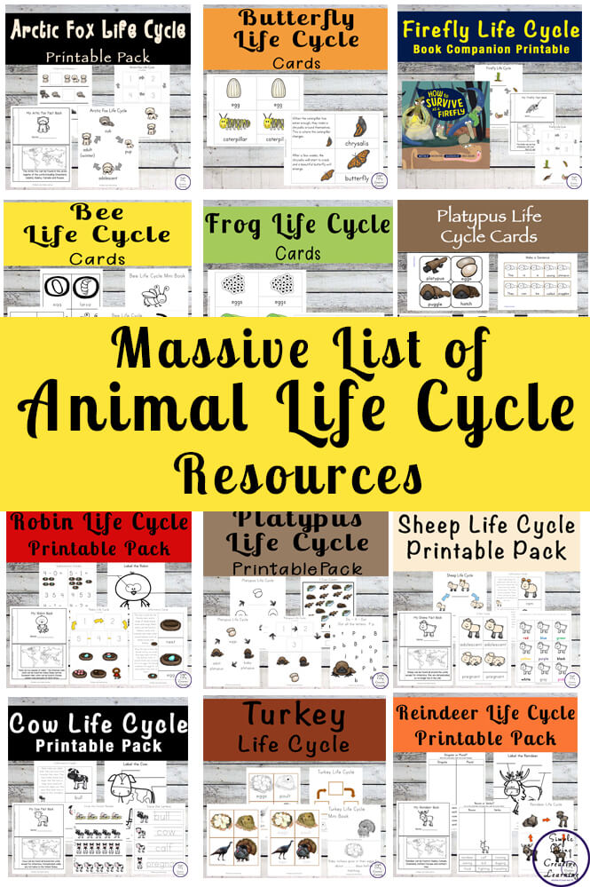 Kids will love learning about the life cycles of different animals with this massive list of animal life cycle resources.
