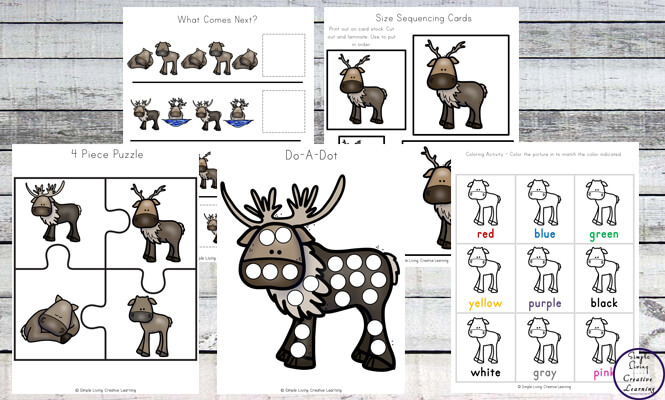 Through completing this Reindeer Life Cycle Printable Pack, children will learn more about these beautiful creatures who are very popular around Christmas.