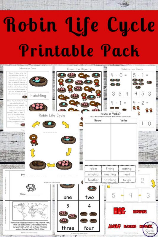 Robin Life Cycle Printable Pack - Simple Living. Creative Learning