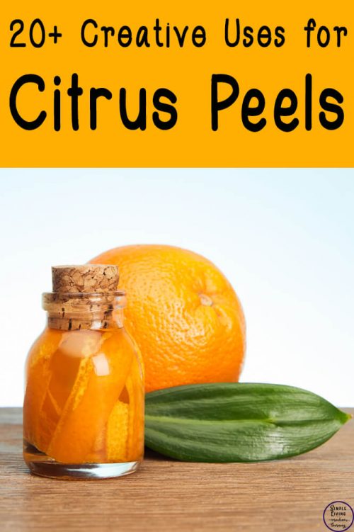 20+ Creative Uses for Citrus Peel Simple Living. Creative Learning