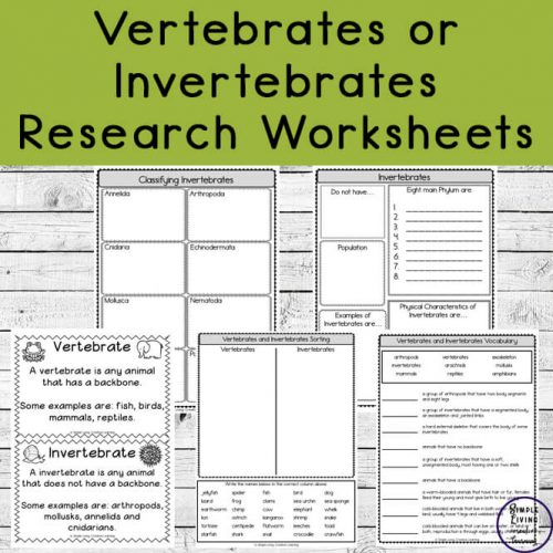 Vertebrates or Invertebrates Research Worksheets