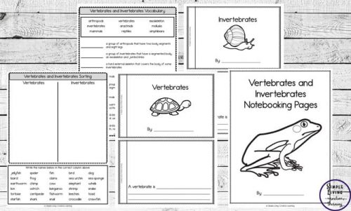 Vertebrates or Invertebrates Research Worksheets