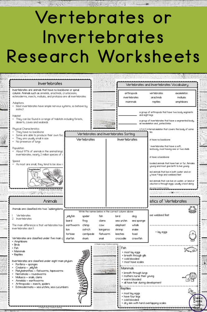 Vertebrates and Invertebrates Research Worksheets - Simple Living. Creative  Learning