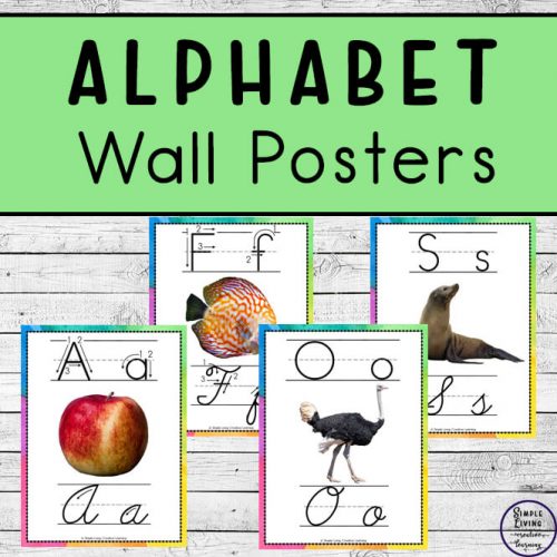 These gorgeous Alphabet Wall Posters with real photos, come in two sizes, a whole page and half page size.