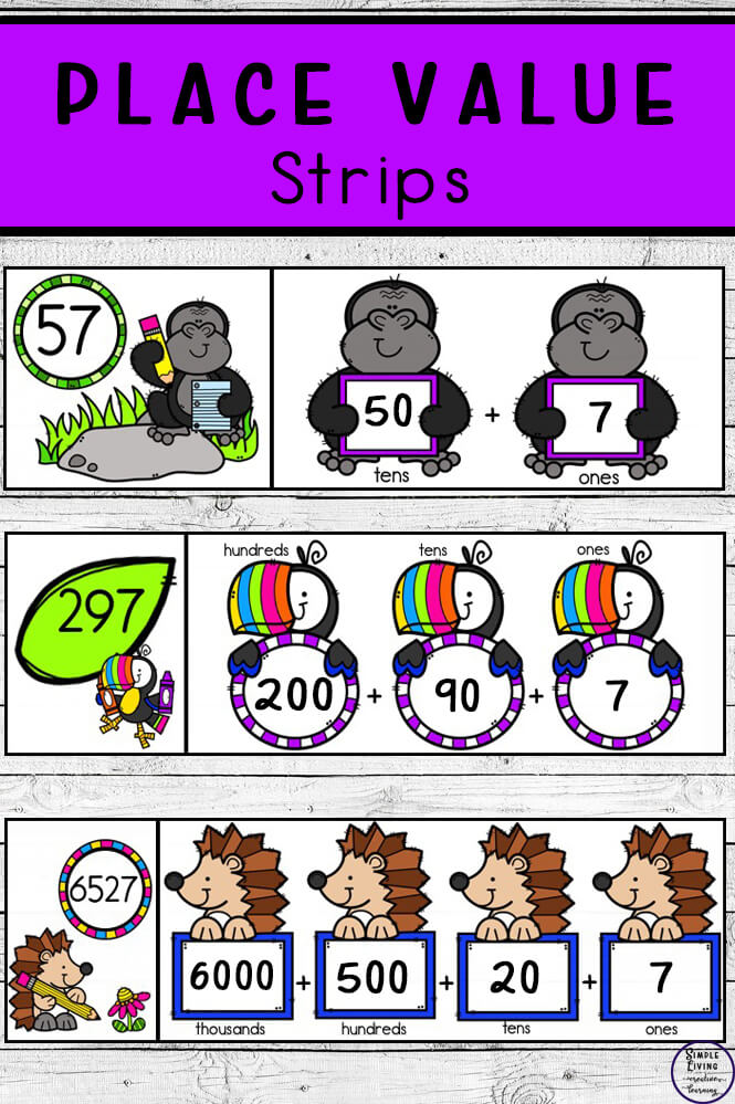 Enjoy learning place value with these three sets of place value strips. The place values included are thouands, hundreds, tens and ones.