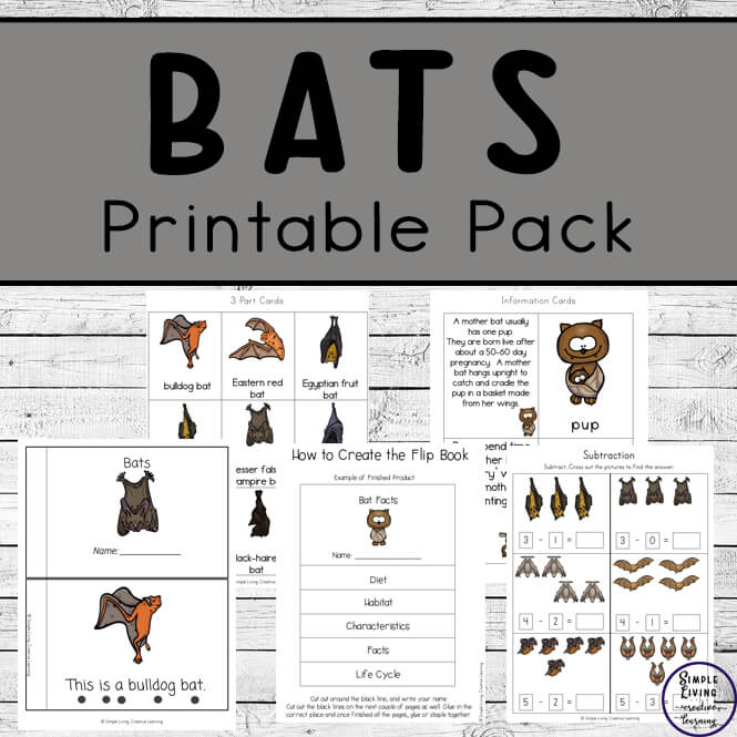 This Bat Printable Pack is a great way to teach children about bats and their life cycle twhile working on their math & literacy skills.