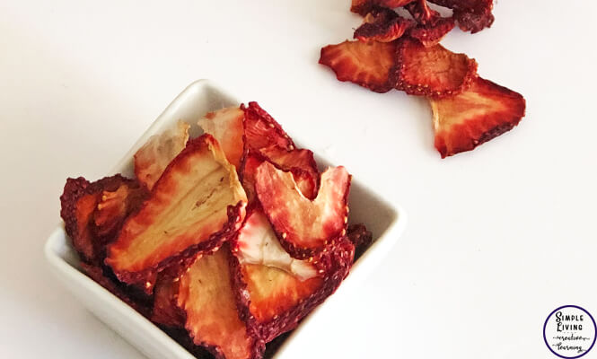 Strawberries that have been dehydrated are a lovely, and convenient snack that can be snacked on as they are or added to salads or muffins.