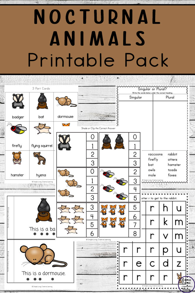 Nocturnal Animals Printable Pack Simple Living Creative Learning