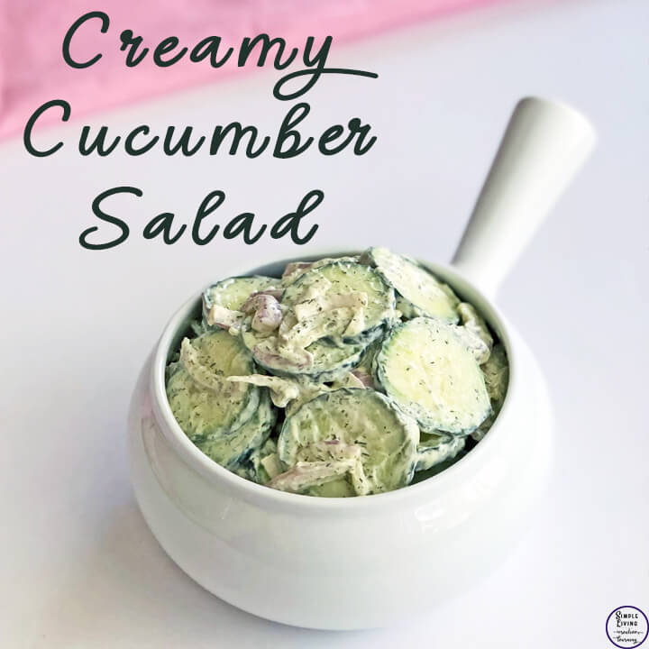 Quick And Easy Creamy Cucumber Salad