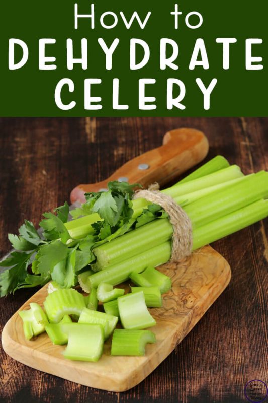 How to Dehydrate Celery Simple Living. Creative Learning