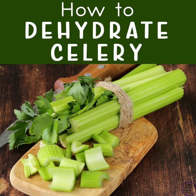 How to dehydrate celery