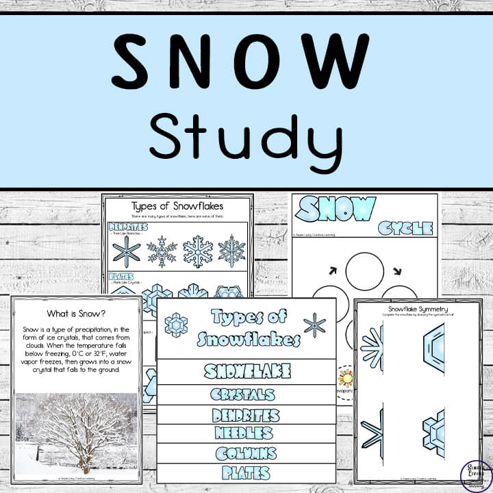 All About Snow Study
