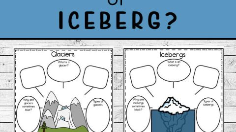 Glacier Or Iceberg Printables