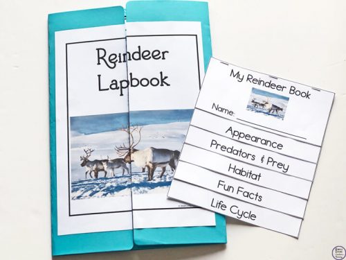 Reindeer Lapbook