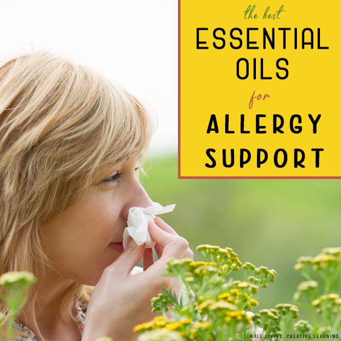 Essential Oil Blends for Allergy Support