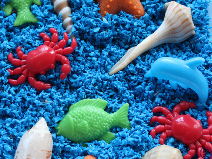Sensory bins, sensory bottles and sensory bags allow children to explore, discover, imagine, create, and learn while engaging their senses. If you've ever made a sensory bin for your child before, you may have noticed that it captured their attention more than you expected it would.