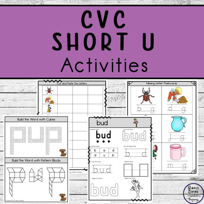 CVC ~ Short U Activities