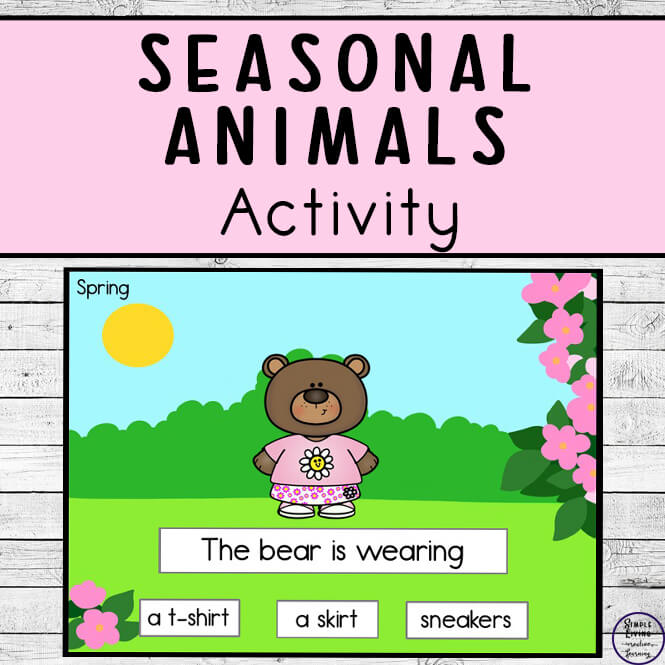 Seasonal Animals Outfits Activity