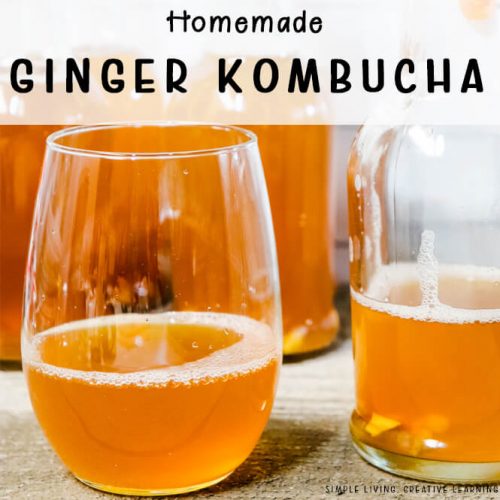 Ginger Kombucha