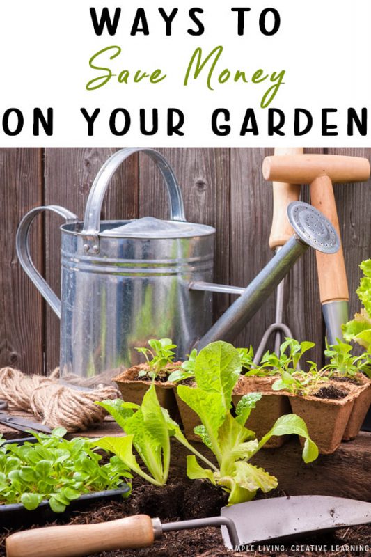 Ways to Save Money in your Garden - Simple Living. Creative Learning