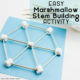 Marshmallow Stem Building Activity