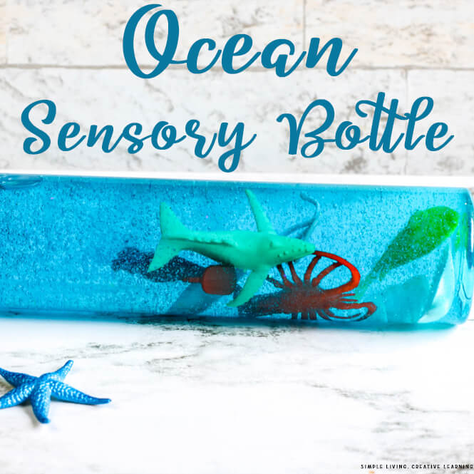 Ocean Sensory Bottle