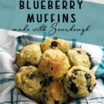 Blueberry Muffins Made with Sourdough Discard