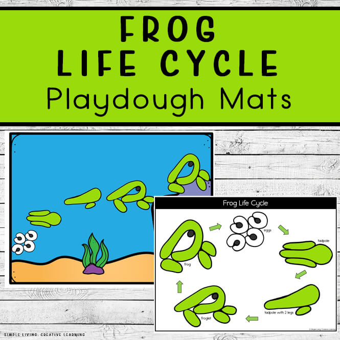 Frog Life Cycle Playdough Mats