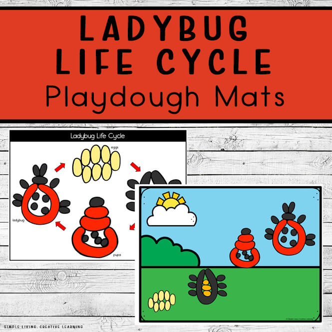 Ladybug Life Cycle Playdough Mats