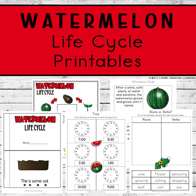 Watermelon Life Cycle Printables Simple Living. Creative Learning