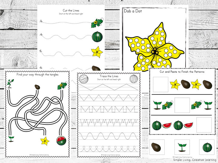 Watermelon Life Cycle Printable Printable Word Searches