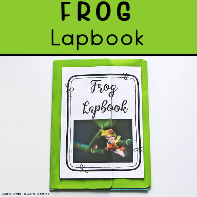Frog Lapbook